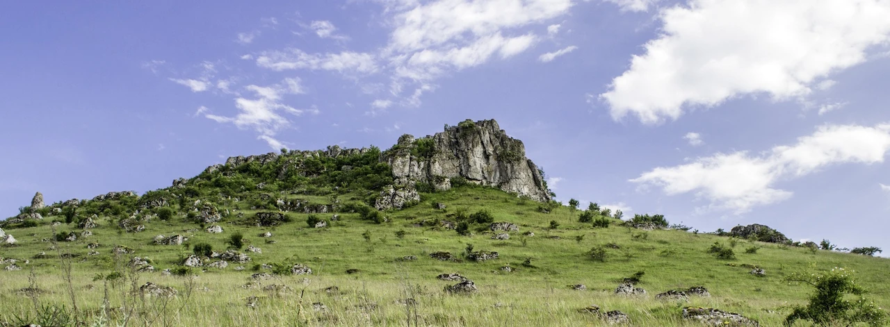 Медобори (заповідник): жива пам’ять Сарматського моря